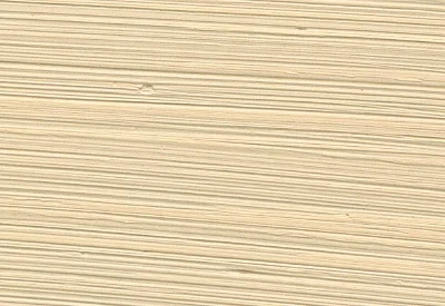 Williamsburg Oil Paints : Unbleached Titanium Pale