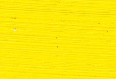 Williamsburg Oil Paints : Cadmium Yellow Light