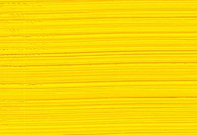 Williamsburg Oil Paints : Cadmium Yellow Medium