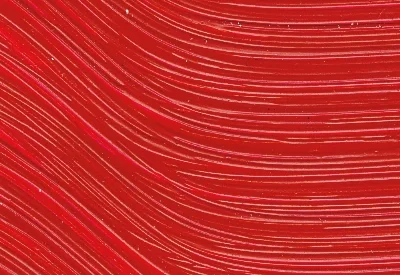 Williamsburg Oil Paints : Quinacridone Red