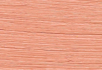 Williamsburg Oil Paints : Canton Rose