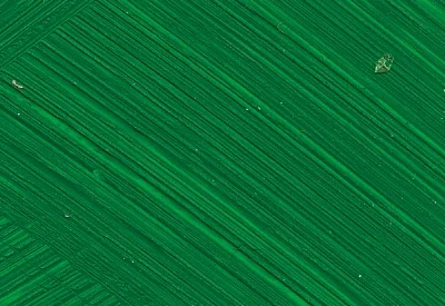 Williamsburg Oil Paints : Permanent Green