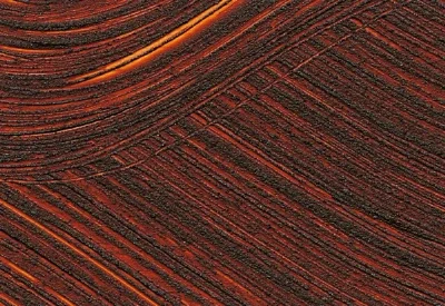 Williamsburg Oil Paints : Italian Pink