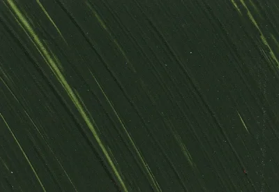 Williamsburg Oil Paints : Turkey Umber