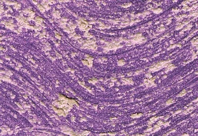 Williamsburg Oil Paints : Interference Violet