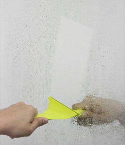 Sparrow Mirror Wiper