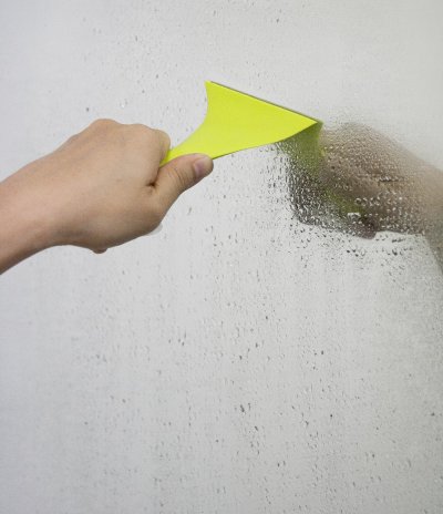 Sparrow Mirror Wiper