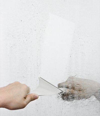 Sparrow Mirror Wiper