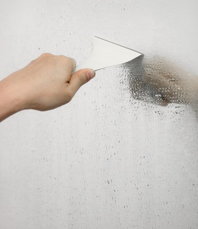 Sparrow Mirror Wiper