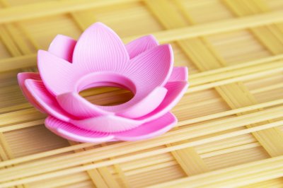 Lotus Spaghetti Measure