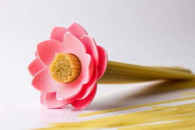 Lotus Spaghetti Measure
