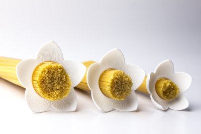 Lotus Spaghetti Measure