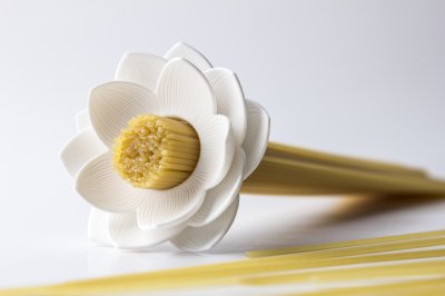 Lotus Spaghetti Measure