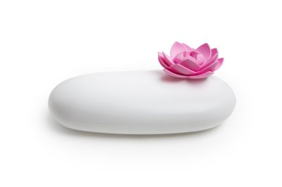 Lotus Pebble Box