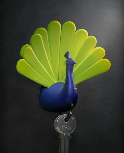 Peacock Key Holder