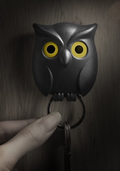 Night Owl Key Holder