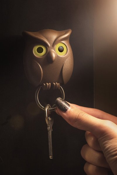 Night Owl Key Holder