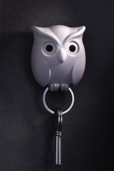Night Owl Key Holder