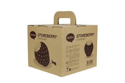 Storeberry Container