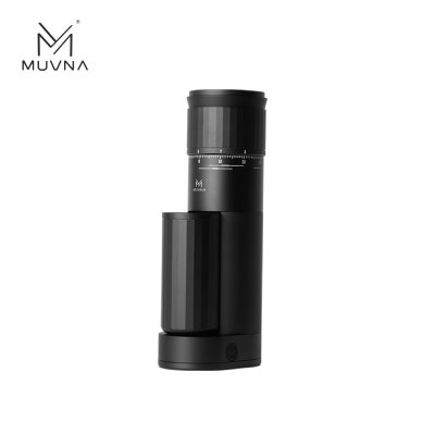 Precision Home Coffee Grinder