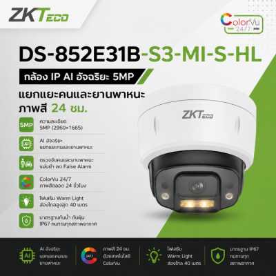 ZKTeco DS-852E31B-S3-MI-S-HL
