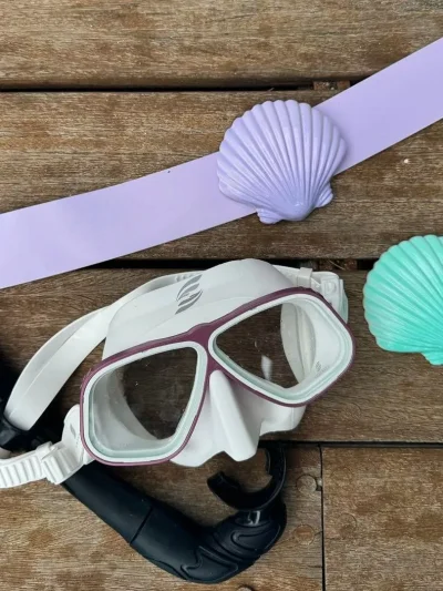 Odyssey Pure™ Diving Shell Lead Weight 0.5 kg Odyssey Pure™ Diving Shell Lead Weight 0.5 kg