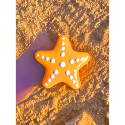"Starfish" OdysseyPure™Diving Lead Weight 1 kg