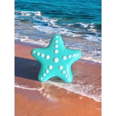 "Starfish" OdysseyPure™Diving Lead Weight 1 kg