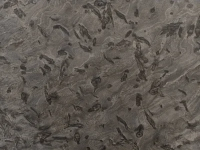 Matrix