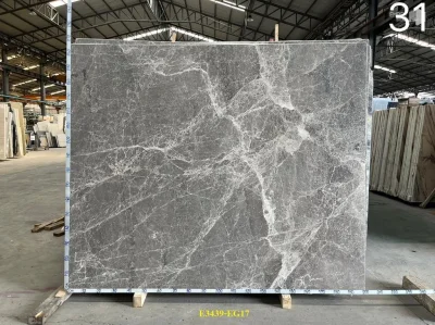 Spider Grey