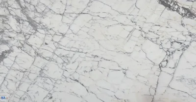 Statuario Venato