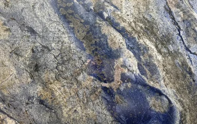 Azul Bahia