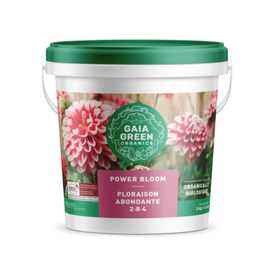 Gaia Green -Power Bloom [2 KG]