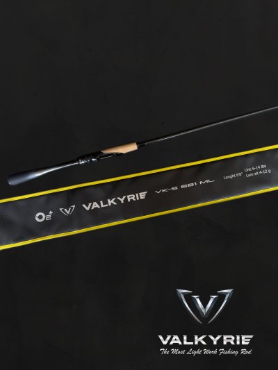 Valkyrie