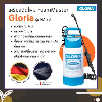 เครื่องฉีดโฟม ถังพ่นโฟม FoamMaster รุ่น FM30