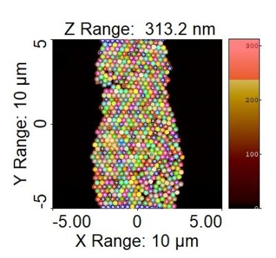 NanoStandard™ 17025 and MicroStandard™ 17025 Series Particle Size Standards