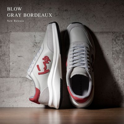 BLOW GRAY BORDEAUX