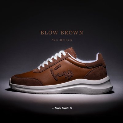 BLOW BROWN BLOW BROWN