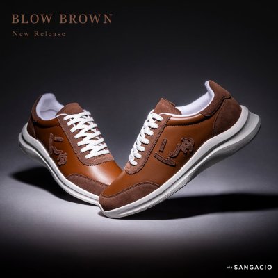 BLOW BROWN BLOW BROWN
