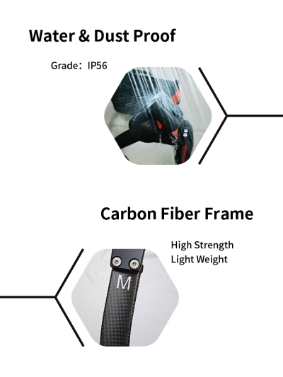 VIGX Ant-H1 Pro
