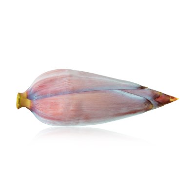 Banana Flower Banana Flower