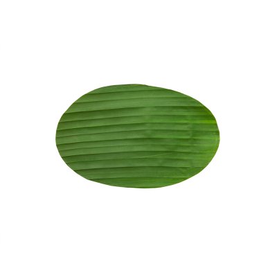 Banana Leaf