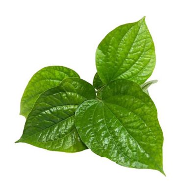 Chapoo leaf