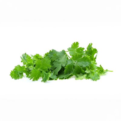 Coriander