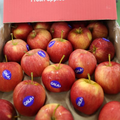 Gala Apples from Poland