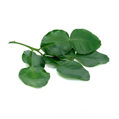 Kaffir Lime Leaf