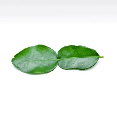 Kaffir Lime Leaf