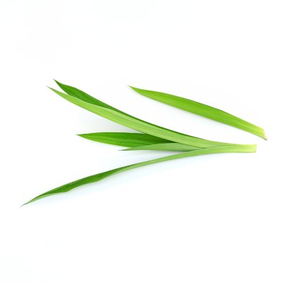 Pandan Leaf