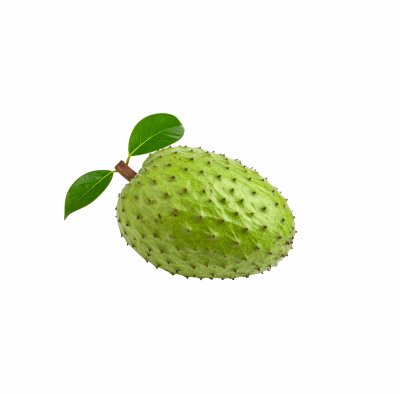 ทุเรียนเทศ