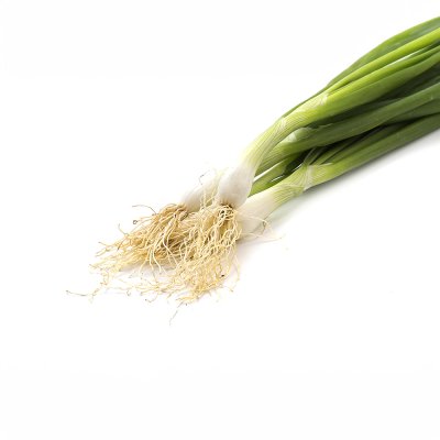 Spring Onion Spring Onion